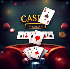 335bet