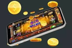 335bet